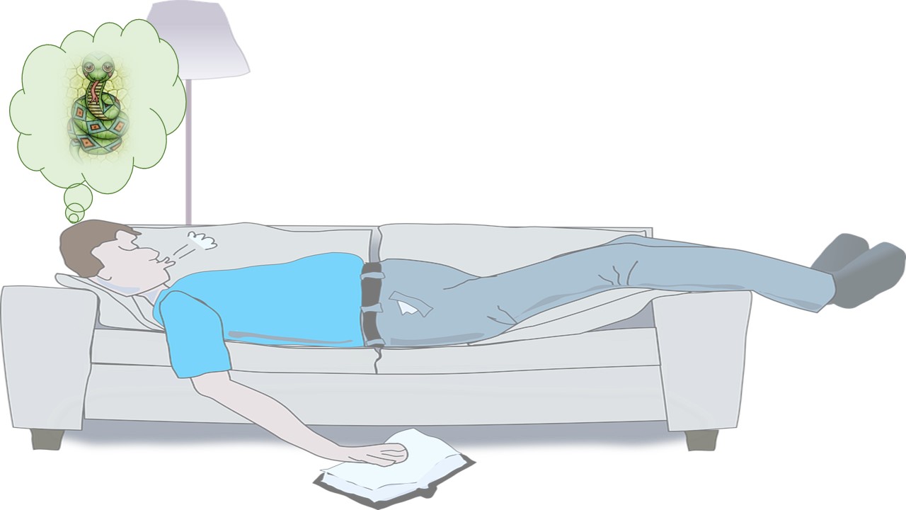 How to Understand Your Dreams’ Special Symbols