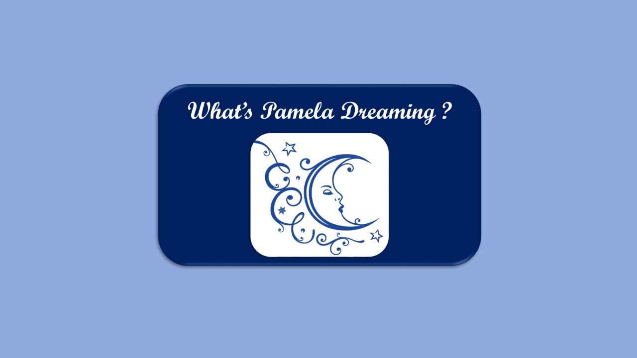 You’ll Love Best 4 “Pamela’s Dream Blogs”
