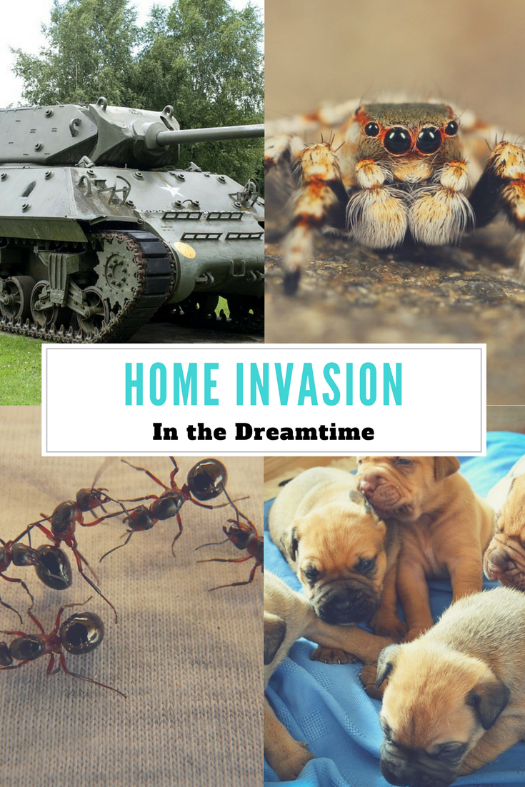 In the Dreamtime Home Invasion