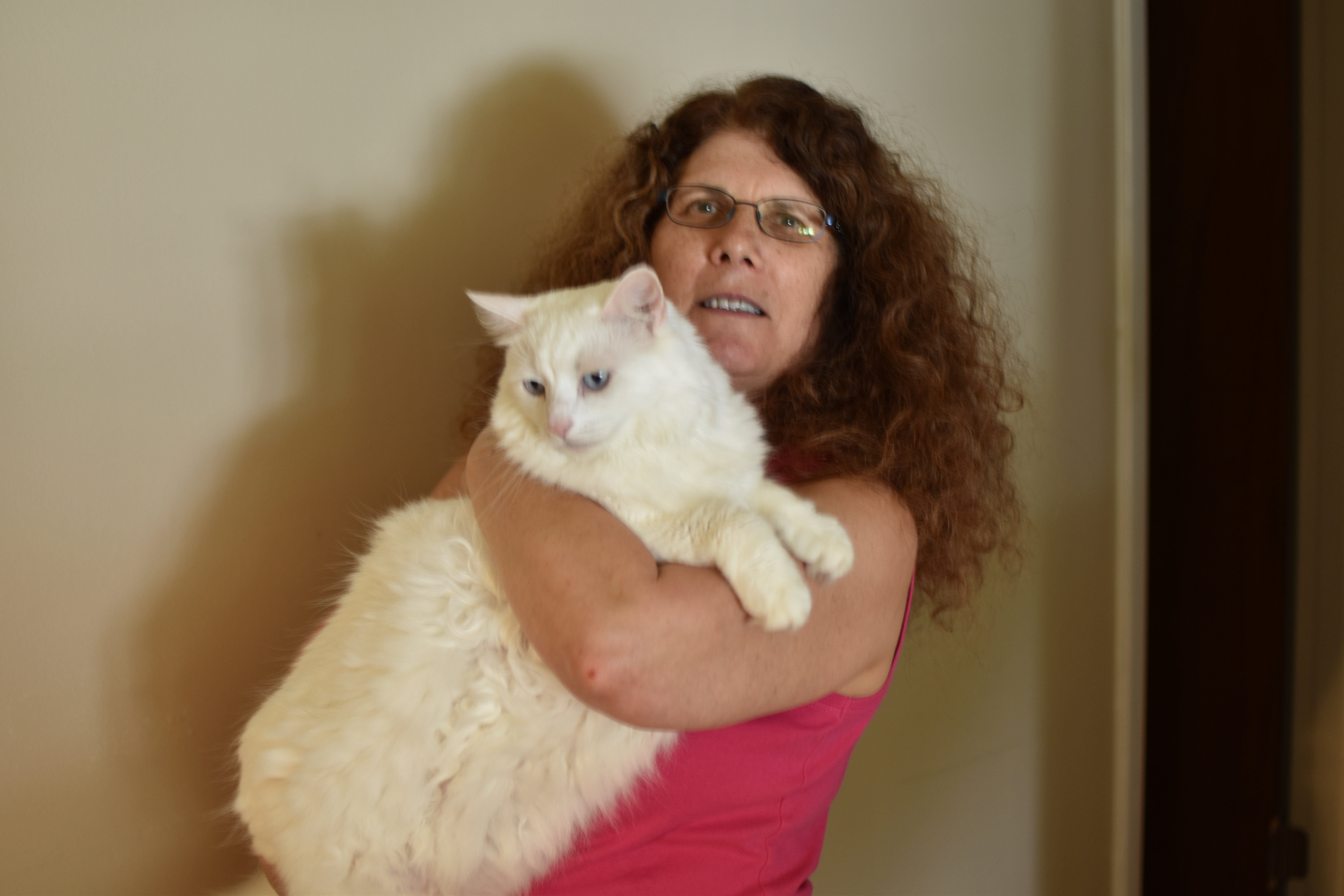 Guest Blog Post: “Cat Communicating Medical Aliment in a Dream,” in the exact words of Pamela Cummins — Happiness Between Tails by da-AL