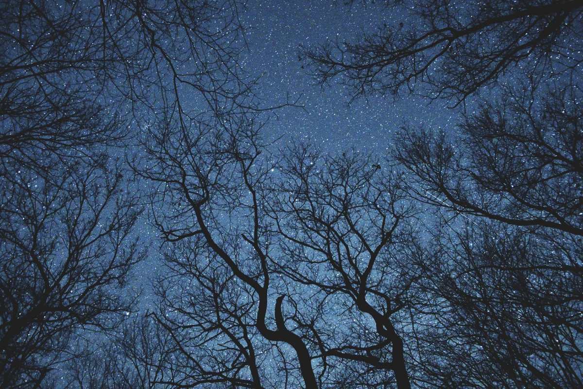 Dream Interpretation Quotes