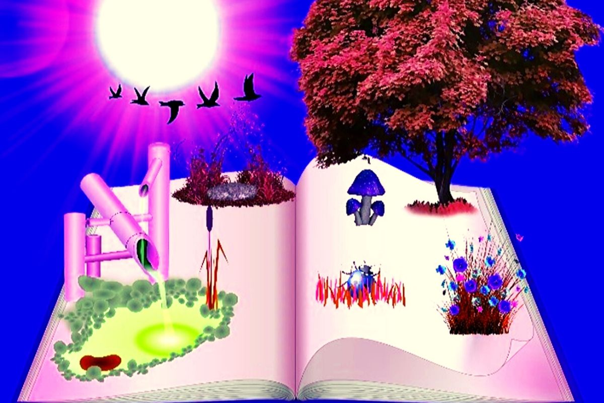 Answers to Dream Interpretation Questions