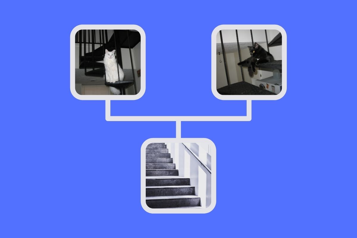 Stop the Recurring Dreams in Three Steps