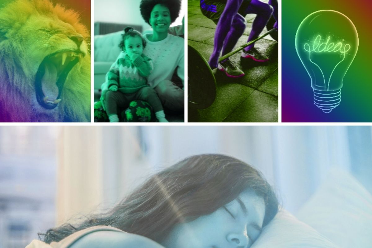 One Dreams Many Meanings