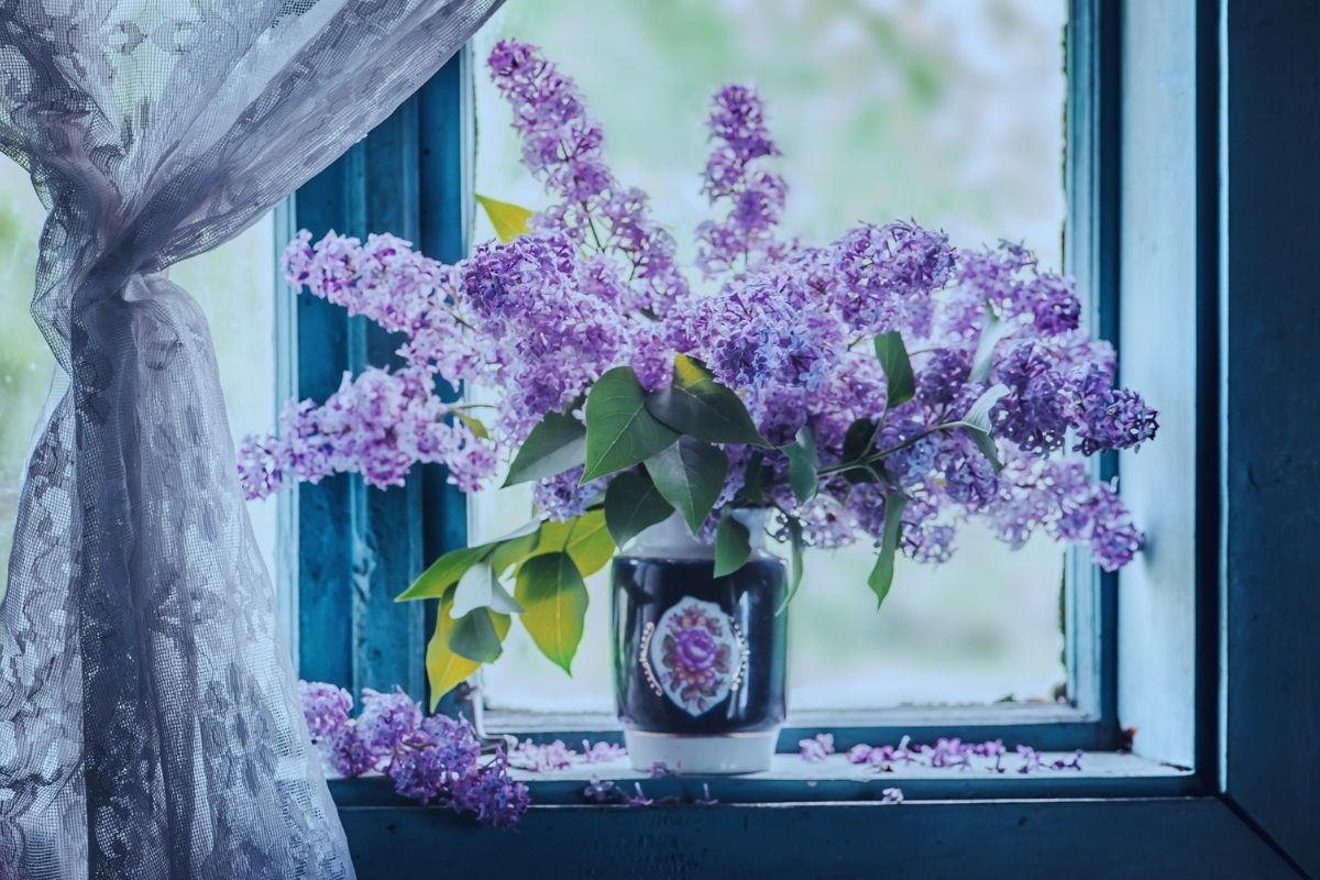 Flower Dream Meanings