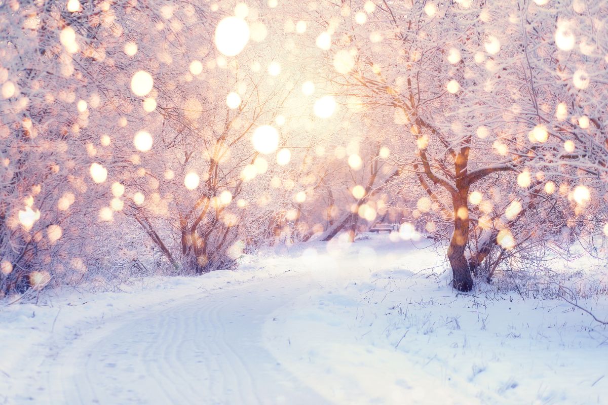 Hanukkah, Winter Solstice, and Christmas Quotes